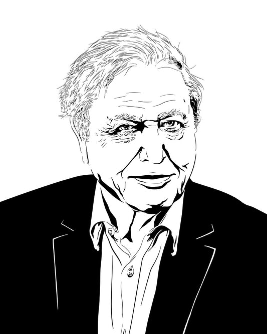 minimalist black and white digital illustration  of sir david attenborough, the natural scientist and british legend, looking at the viewer in portrait with slight smile on his face