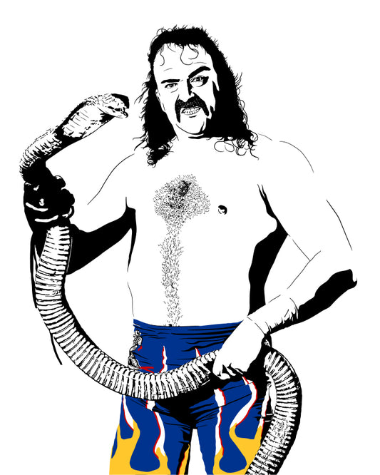 minimalist digital illustration of professional wrestler jake the snake roberts holding his cobra in wrestling attire